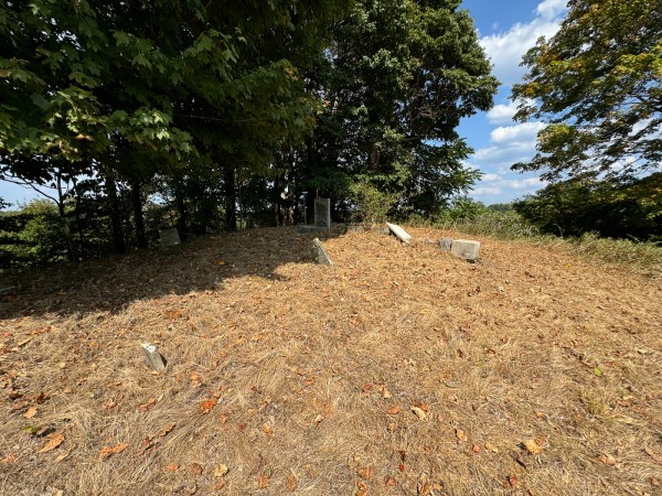 Tract 12 - Albany Woods property photo