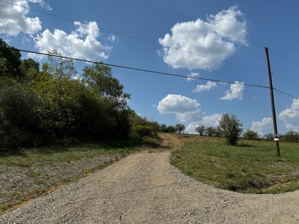 More of Tract 12 - Albany Woods