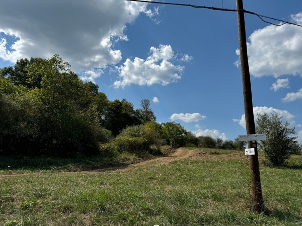Tract 12 - Albany Woods property photo