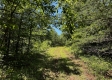 Tract 8 - The Woods at Wayne Forest property photo