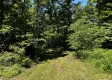 Tract 8 - The Woods at Wayne Forest property photo