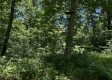 Tract 8 - The Woods at Wayne Forest property photo