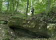 More of Tract 8 - The Woods at Wayne Forest