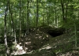 Tract 8 - The Woods at Wayne Forest