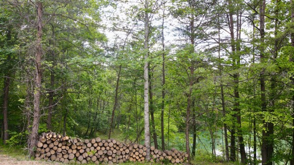 The Pond and Caves at Wayne National Forest property photo