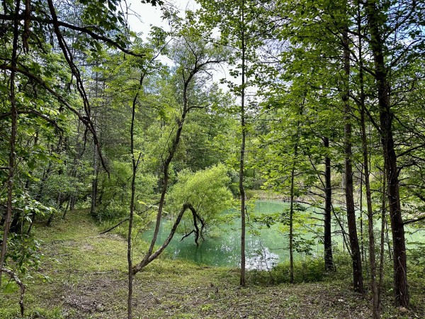 The Pond and Caves at Wayne National Forest property photo