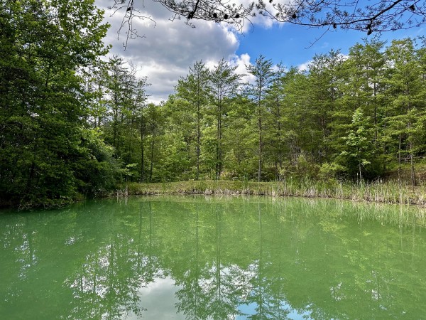The Pond and Caves at Wayne National Forest property photo