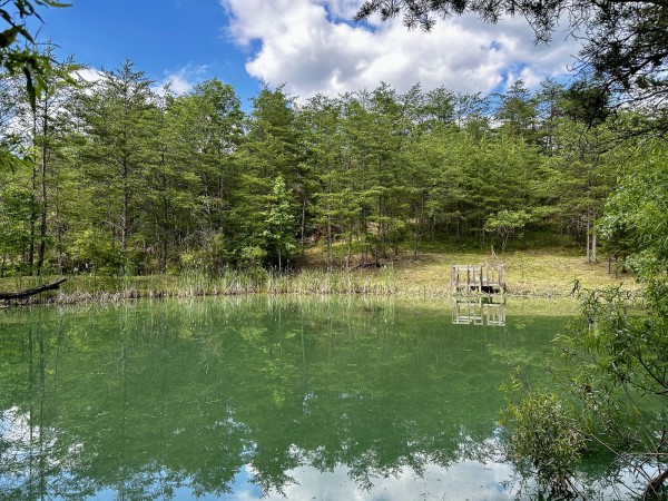 The Pond and Caves at Wayne National Forest property photo