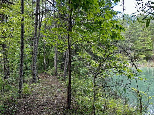 The Pond and Caves at Wayne National Forest property photo