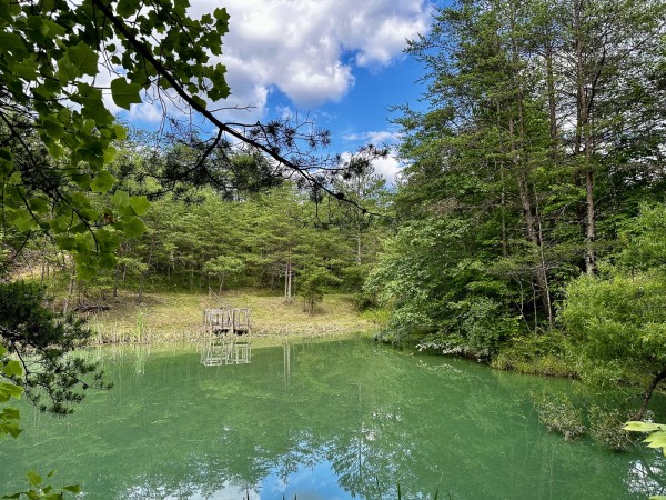 The Pond and Caves at Wayne National Forest property photo