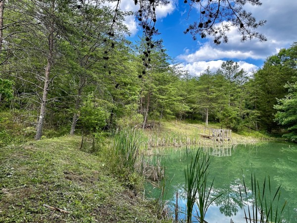The Pond and Caves at Wayne National Forest property photo