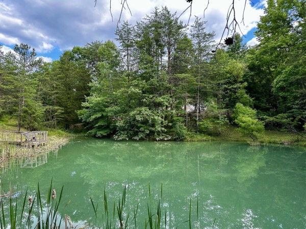 The Pond and Caves at Wayne National Forest property photo