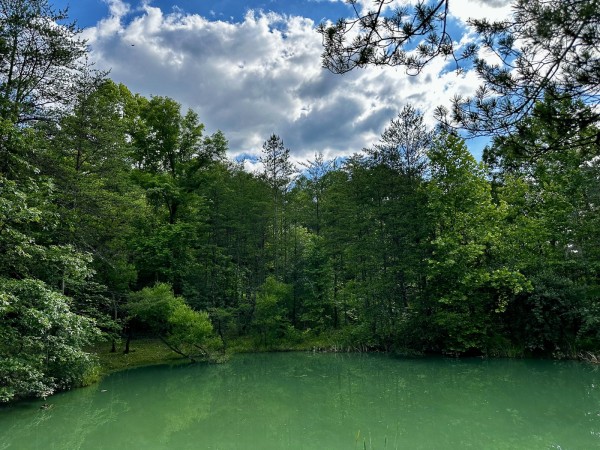 The Pond and Caves at Wayne National Forest property photo