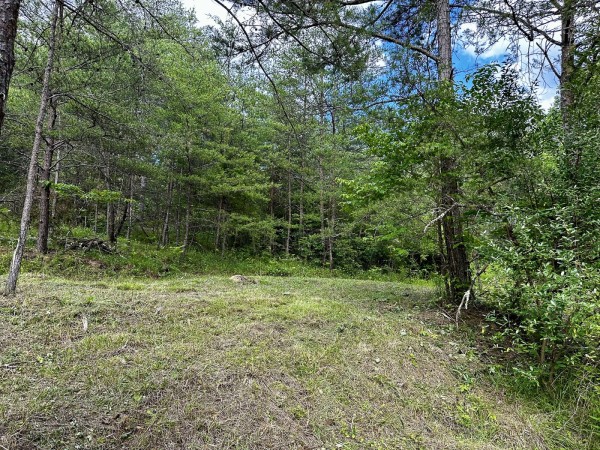 The Pond and Caves at Wayne National Forest property photo