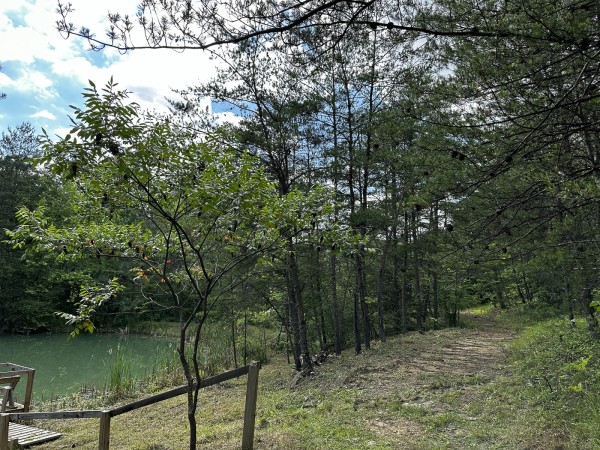 The Pond and Caves at Wayne National Forest property photo
