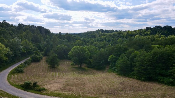 The Pond and Caves at Wayne National Forest property photo