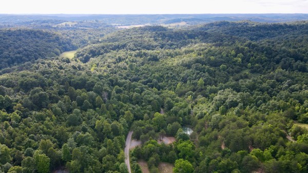 The Pond and Caves at Wayne National Forest property photo