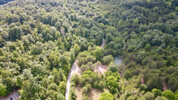 The Pond and Caves at Wayne National Forest property photo