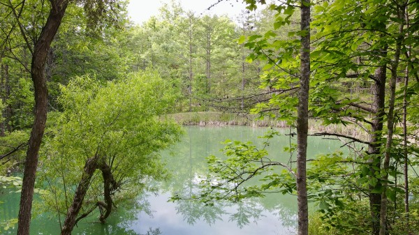 The Pond and Caves at Wayne National Forest property photo