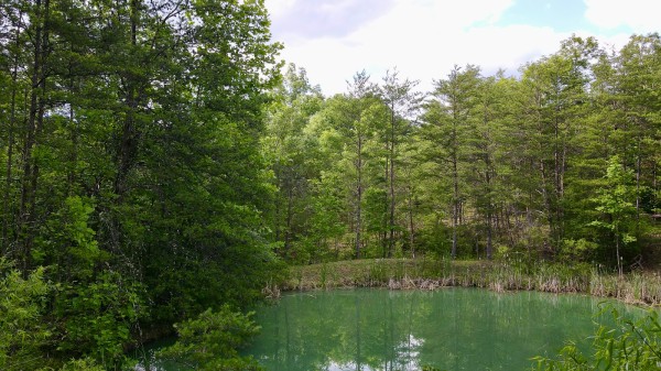 The Pond and Caves at Wayne National Forest property photo
