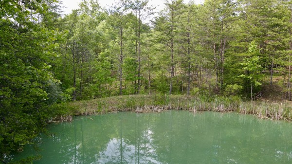The Pond and Caves at Wayne National Forest property photo