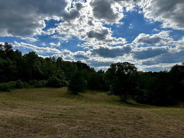 The Pond and Caves at Wayne National Forest property photo