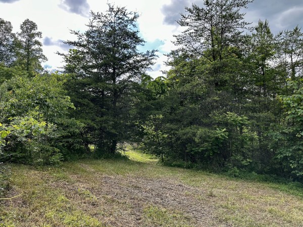 The Pond and Caves at Wayne National Forest property photo