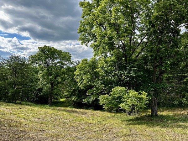 The Pond and Caves at Wayne National Forest property photo