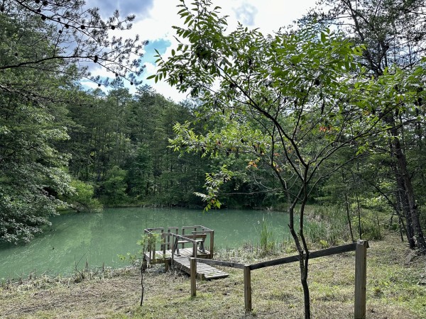 The Pond and Caves at Wayne National Forest property photo