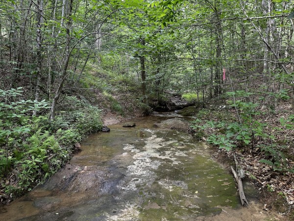 More of The Pond and Caves at Wayne National Forest