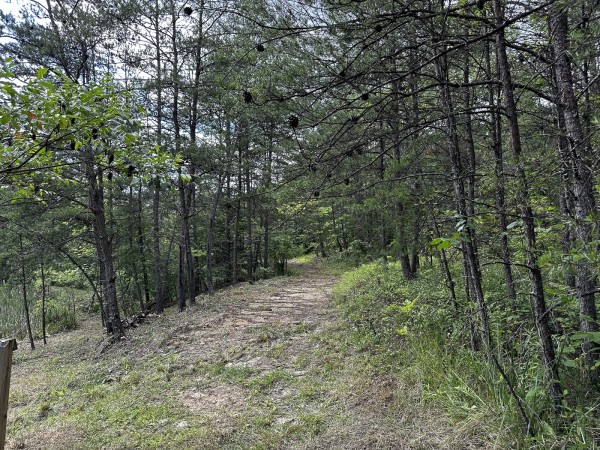 The Pond and Caves at Wayne National Forest property photo