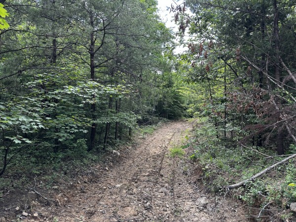 The Pond and Caves at Wayne National Forest property photo