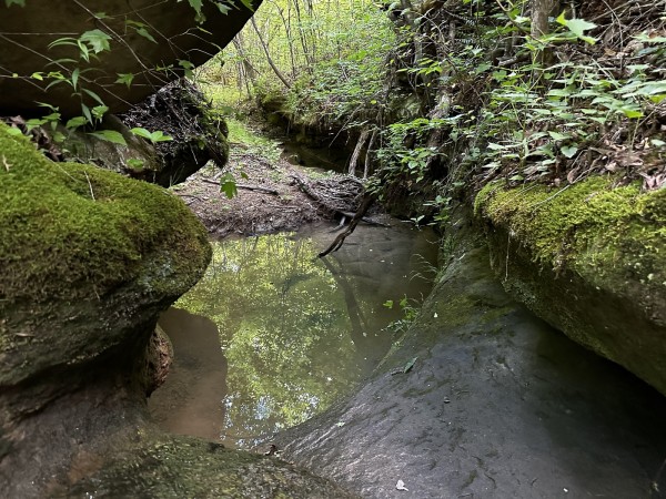 More of The Pond and Caves at Wayne National Forest
