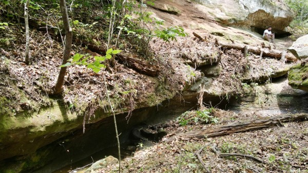 More of The Pond and Caves at Wayne National Forest