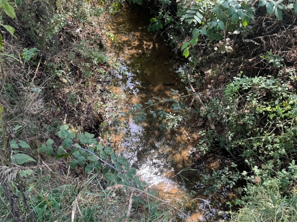 Tract 5 - McGrath Road property photo