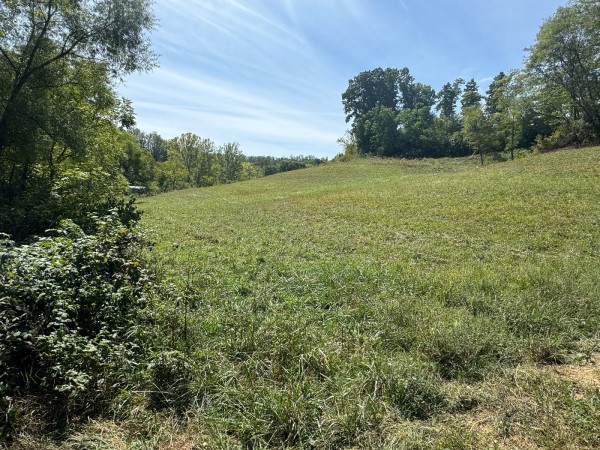 Tract 5 - McGrath Road property photo