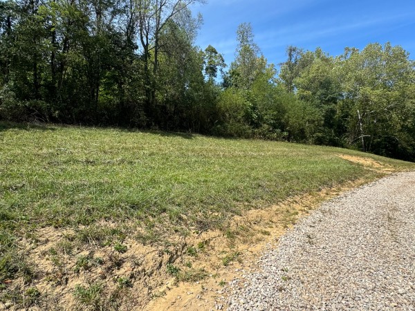 Tract 5 - McGrath Road property photo