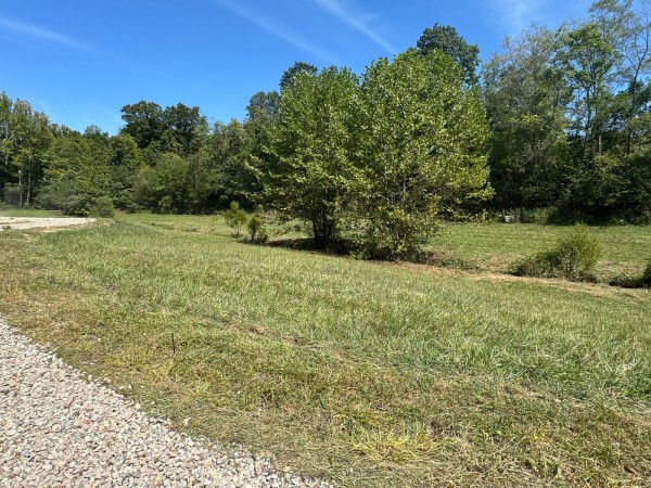 Tract 5 - McGrath Road property photo