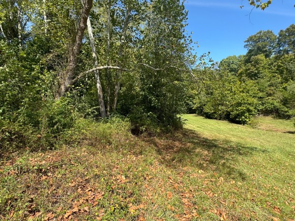 Tract 5 - McGrath Road property photo
