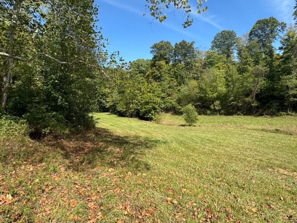 Tract 5 - McGrath Road property photo
