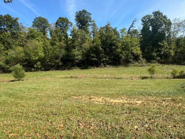 Tract 5 - McGrath Road property photo