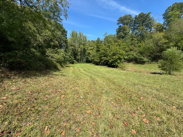 Tract 5 - McGrath Road property photo