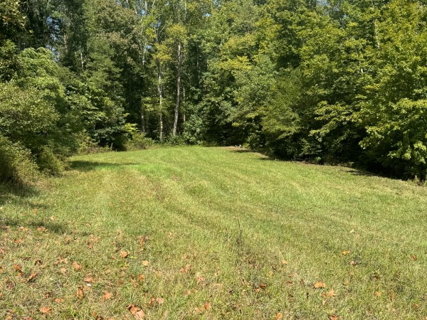 Tract 5 - McGrath Road property photo