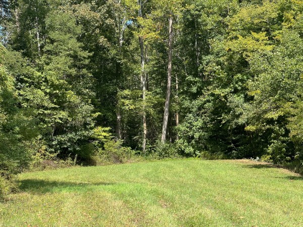 Tract 5 - McGrath Road property photo