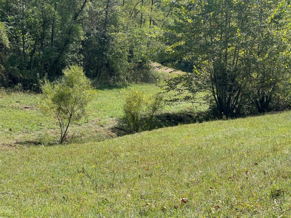 Tract 5 - McGrath Road property photo