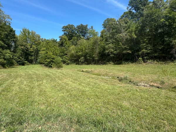 Tract 5 - McGrath Road property photo