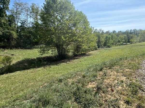Tract 5 - McGrath Road property photo