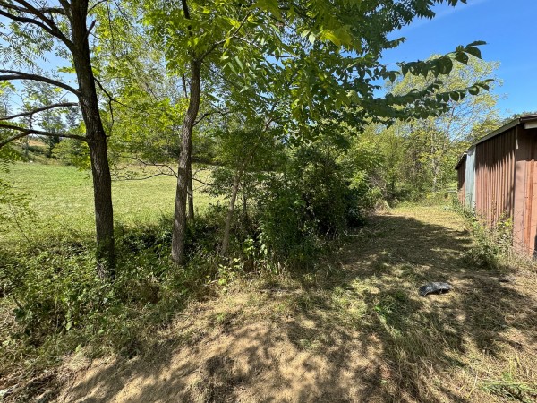 Tract 5 - McGrath Road property photo
