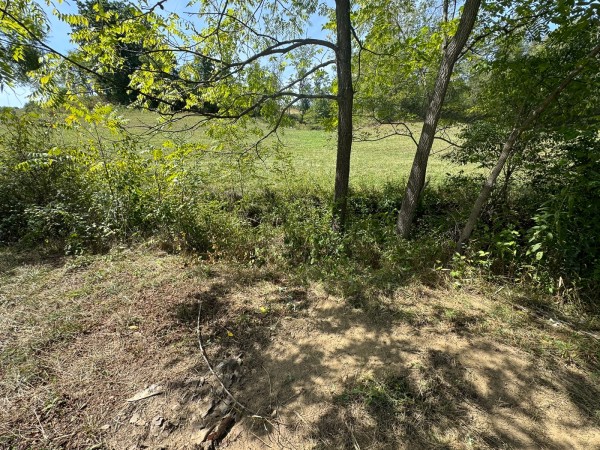 Tract 5 - McGrath Road property photo