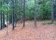 Cabin On The Pond property photo